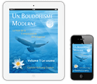 Ebooks gratuits 3 Unbouddhismemoderne