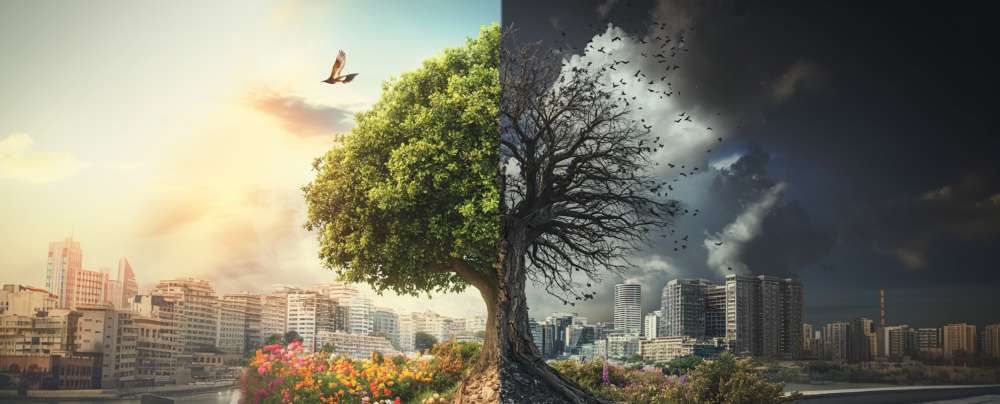 Événement spécial avec Guèn Eupamé : Les 11 inversions qui changent tout ! 19 Les 11 inversions qui changent tout - Lamrim